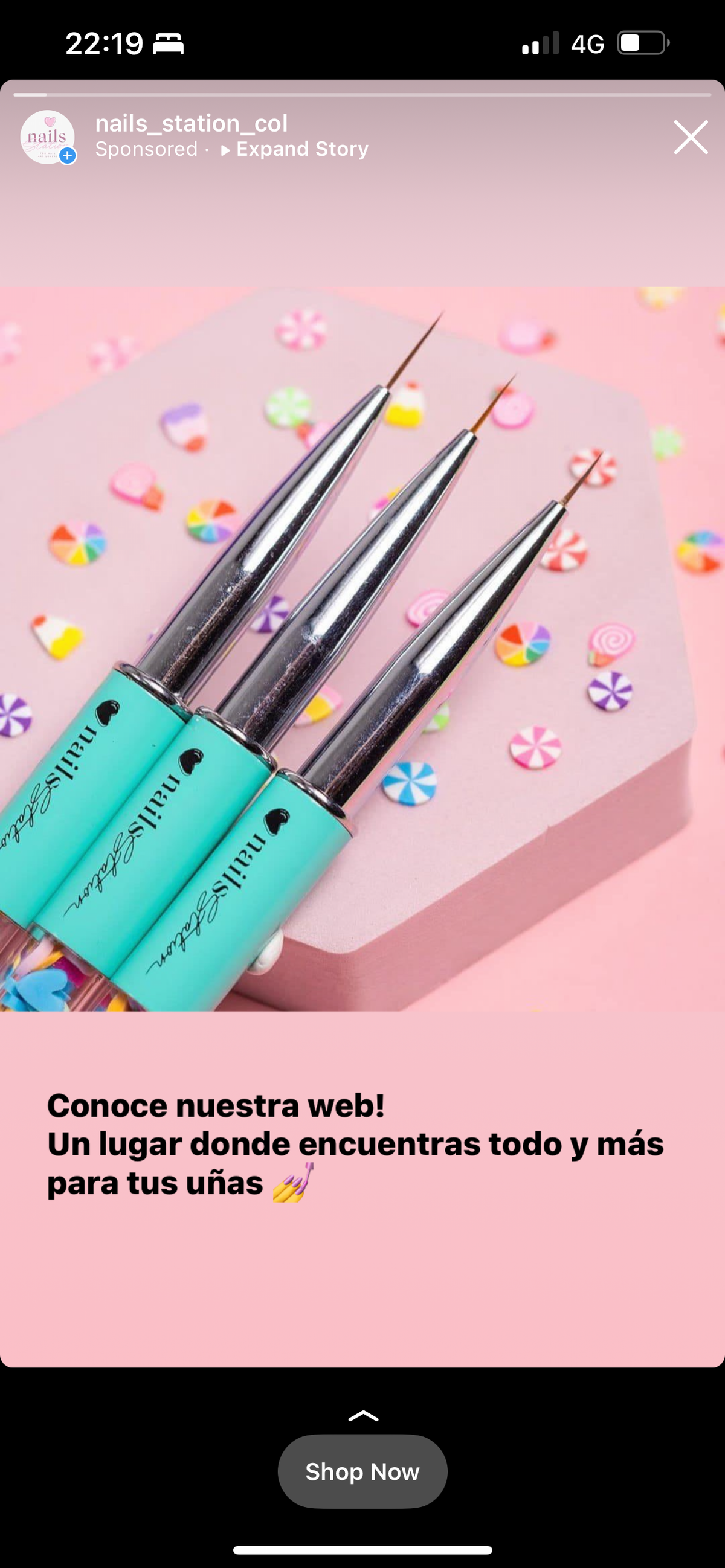 Pinceles Liner