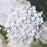 Flores Decorativas Color