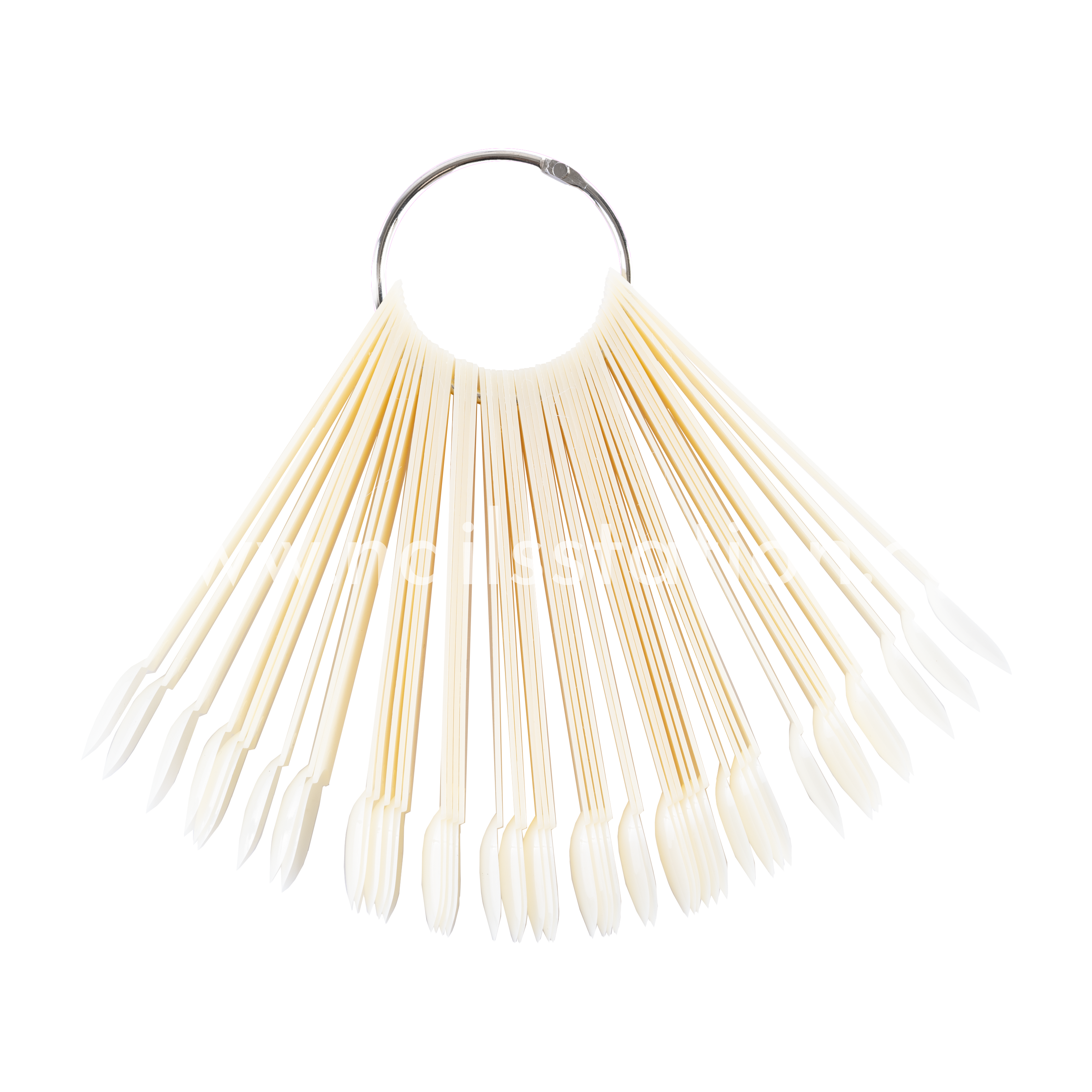 Mostrario Abanico x 50